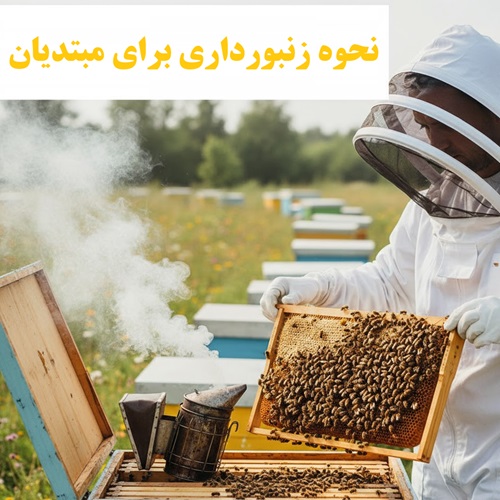 نحوه زنبورداری برای مبتدیان