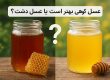 عسل کوهی بهتر است یا عسل دشت؟